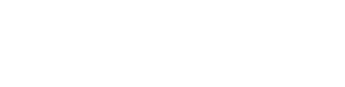 Data & AI Literacy Academy